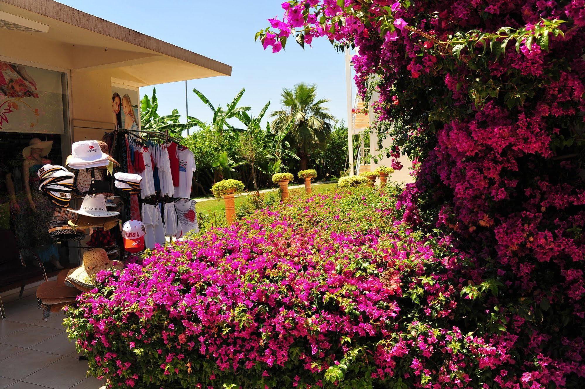 Daima Resort Hotel Kemer Exteriör bild